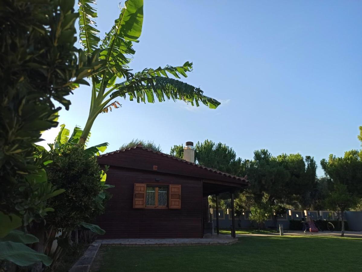 Aliki Guest House 艾伊翁 外观 照片